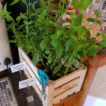 Sonnenhalde Hotel Wiesen