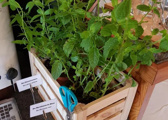 Sonnenhalde Szálloda Wiesen